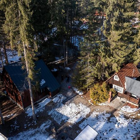Cabana Adrienne Izvoru Mureşului Exteriér fotografie
