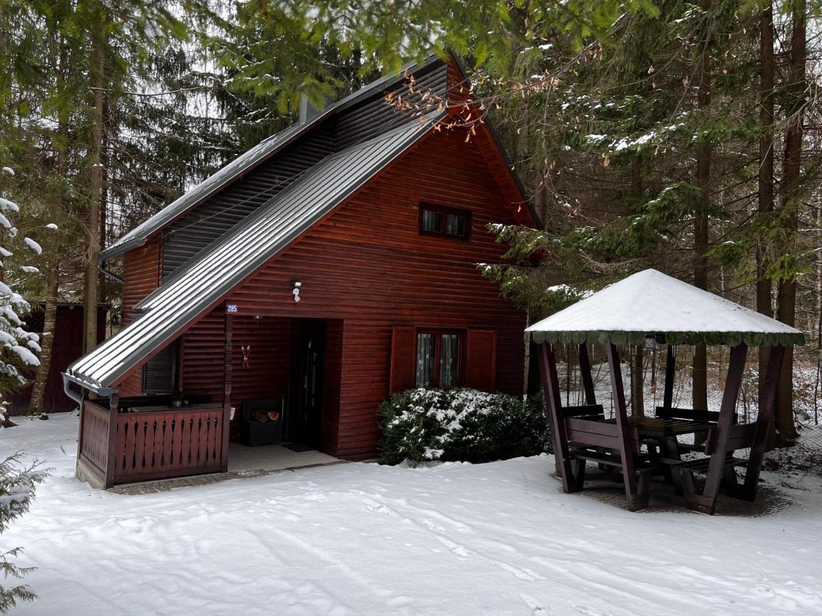 Cabana Adrienne Izvoru Mureşului Exteriér fotografie