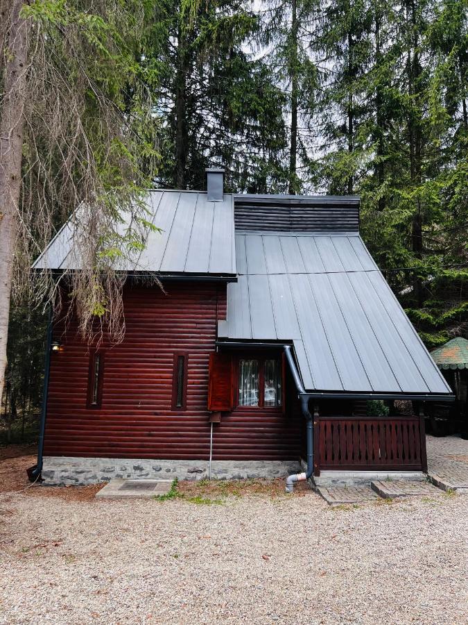 Cabana Adrienne Izvoru Mureşului Exteriér fotografie