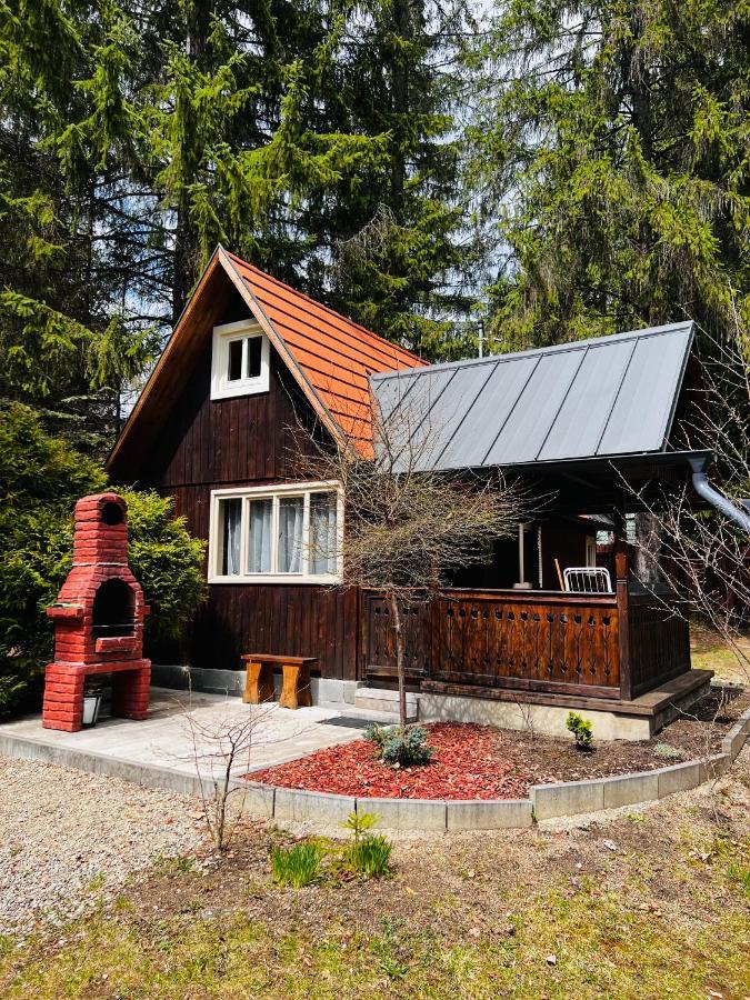 Cabana Adrienne Izvoru Mureşului Exteriér fotografie