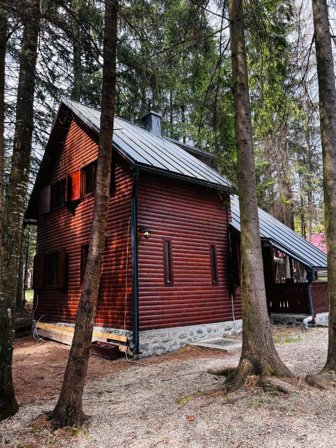 Cabana Adrienne Izvoru Mureşului Exteriér fotografie