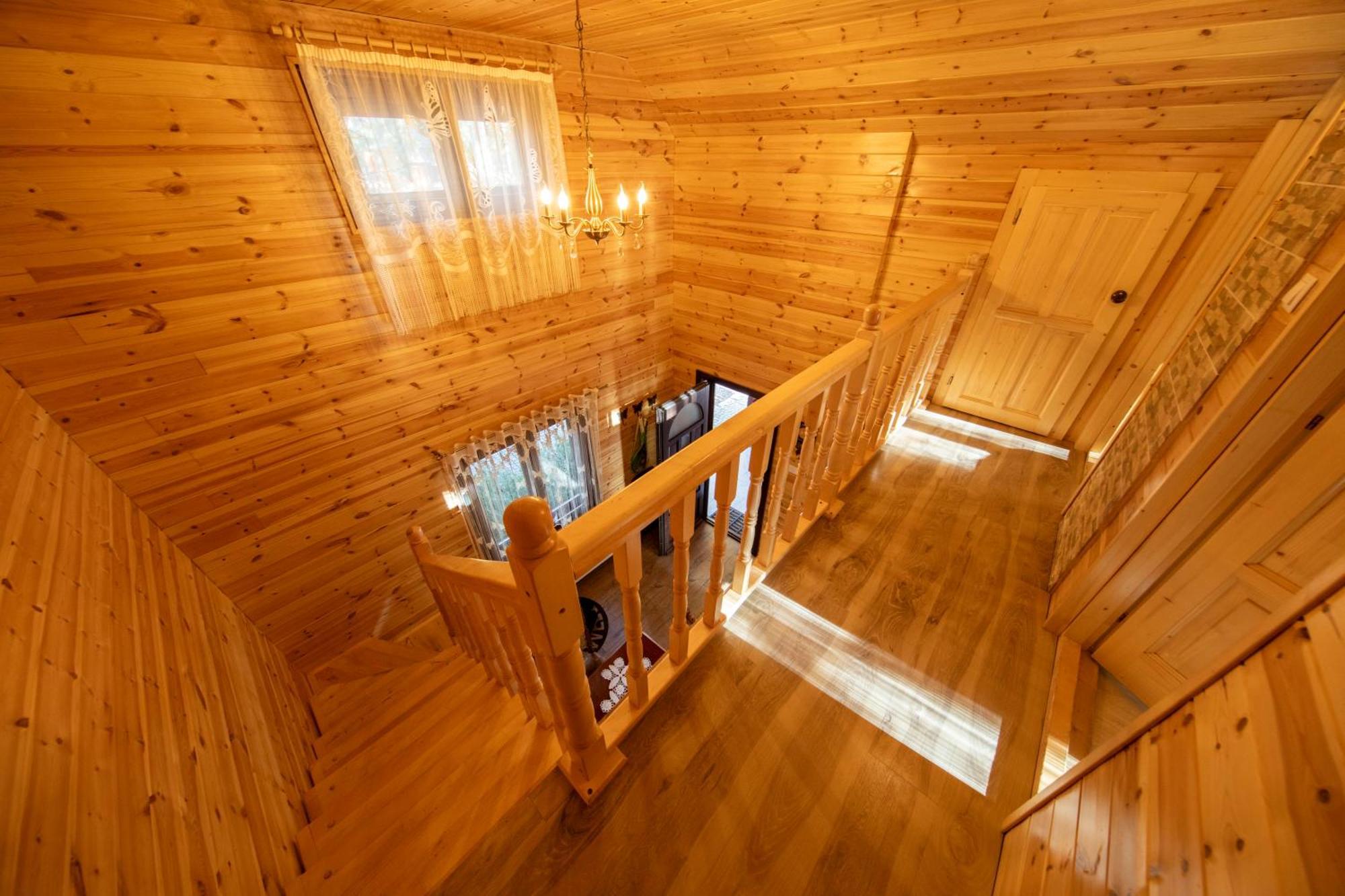 Cabana Adrienne Izvoru Mureşului Exteriér fotografie