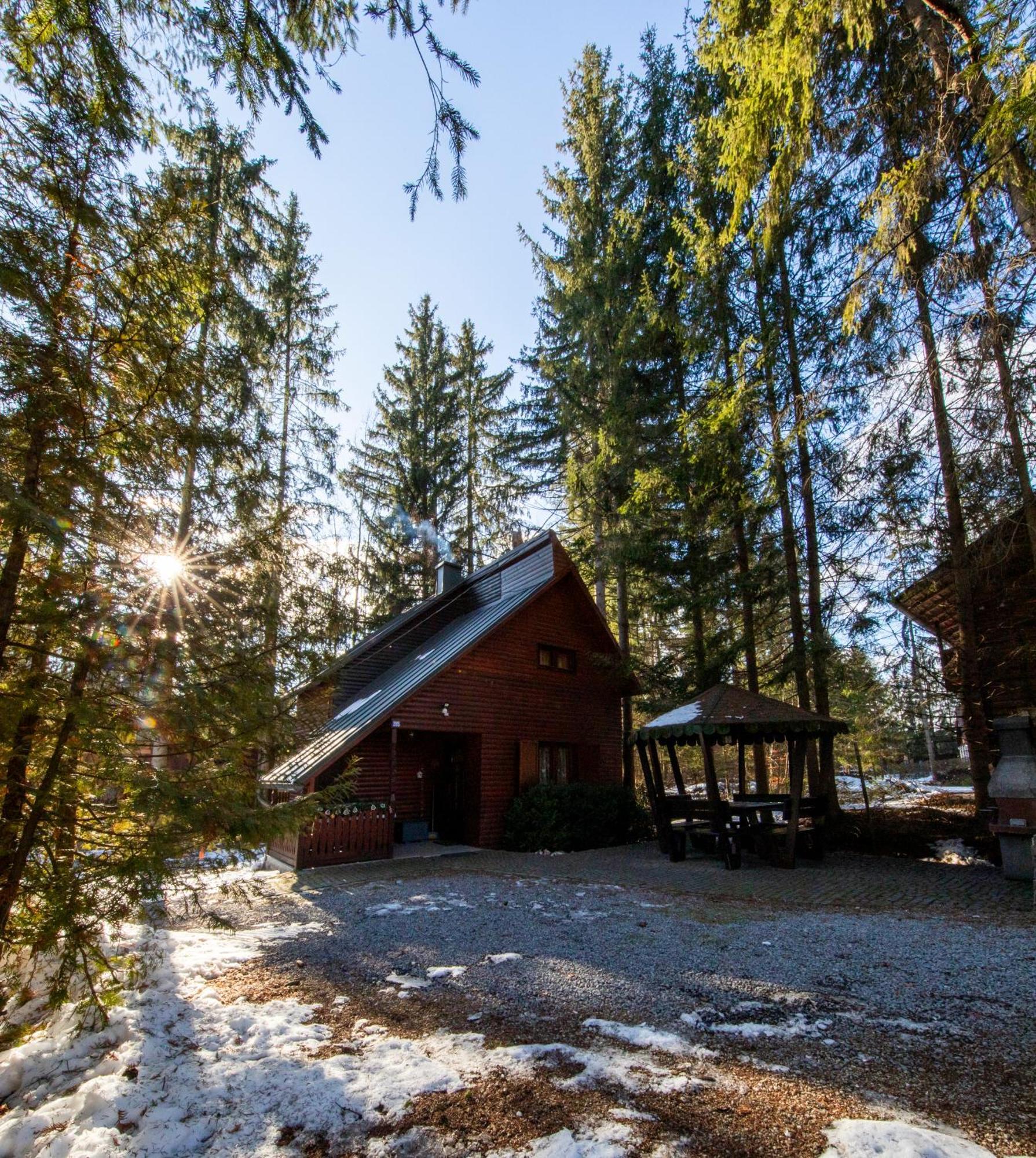 Cabana Adrienne Izvoru Mureşului Exteriér fotografie
