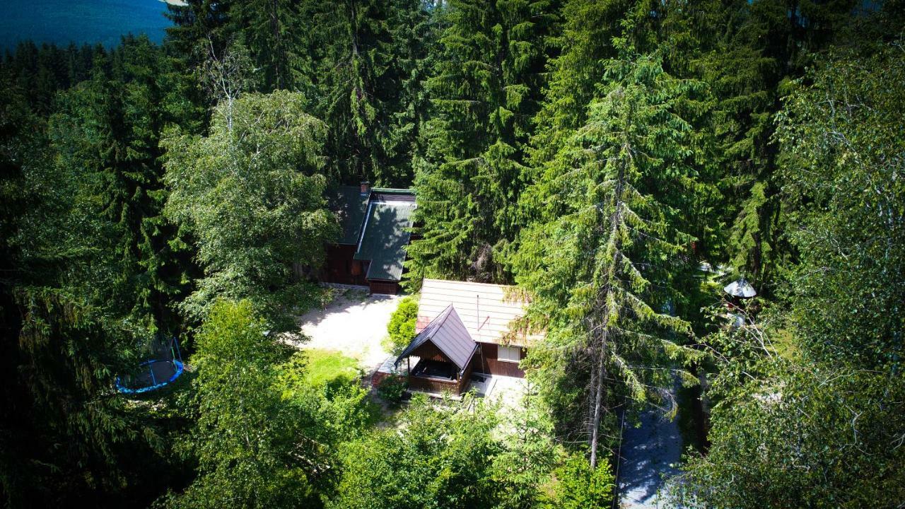 Cabana Adrienne Izvoru Mureşului Exteriér fotografie